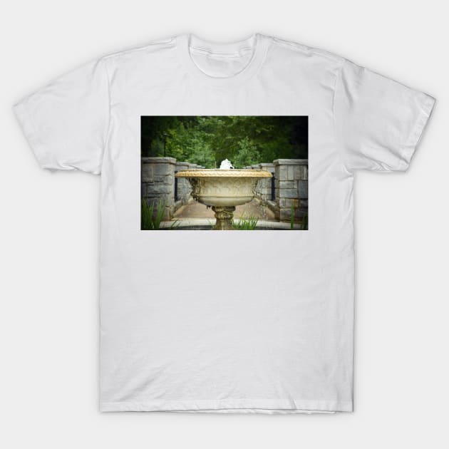 Fountain in the Garden T-Shirt by Ckauzmann